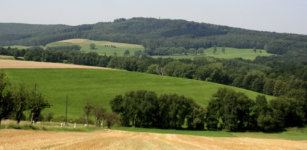 Klicken um zu vergrößern Maiwanderung auf den Rochlitzer Berg