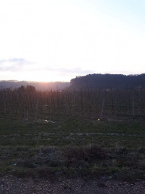 IMG-20190120-WA0017