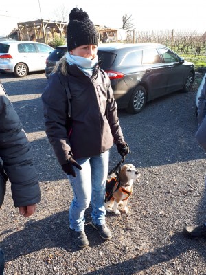 IMG-20190120-WA0024