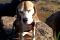 IMG-20190120-WA0015