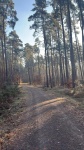 Leipzig Auenwald, Parkplatz am Auensee, 04159 Leip