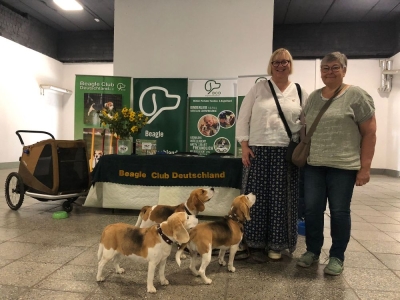 WhatsApp Image 2025-09-06 at 09.54.18