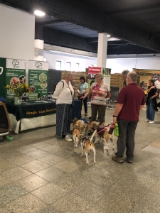 WhatsApp Image 2025-09-06 at 13.04.29-3