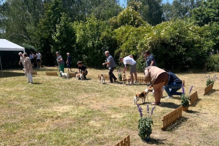 Image 2025-06-22 -2a