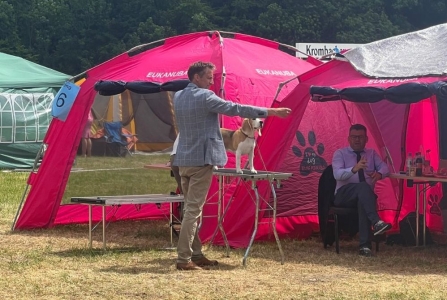 Image 2026-01-07 Martha Possen 2