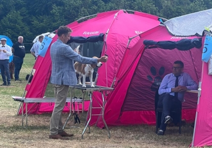 Image 2026-01-07 Paula Possen 2