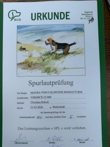 Image 2026-03-21 Mayra SPL