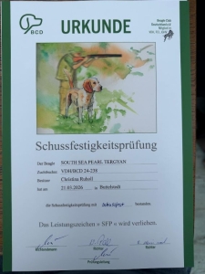 Image 2026-03-21 Paula SFP