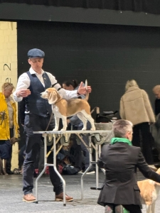 Image 2026-03-17 Martha 3