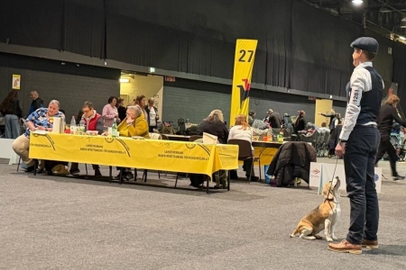 Image 2026-03-17 Martha 4