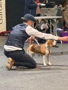 Image 2026-03-17 Paula