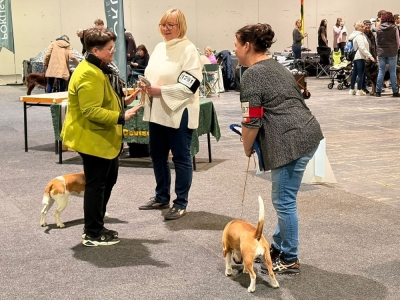 Image 2026-03-17 Paula 2