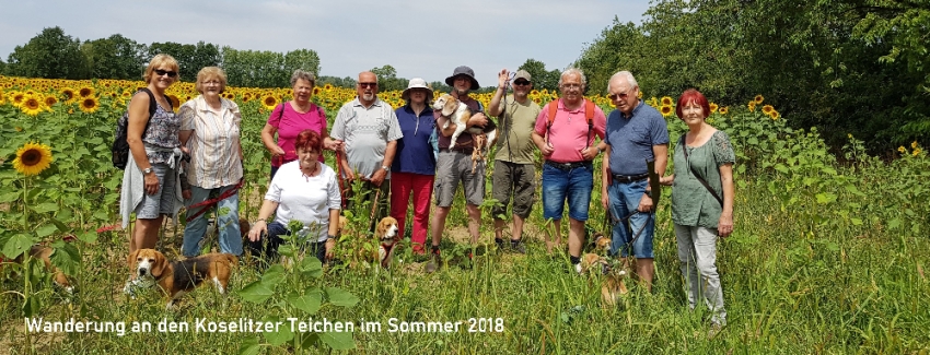 #nivo3m98Desc3 20180708_122826