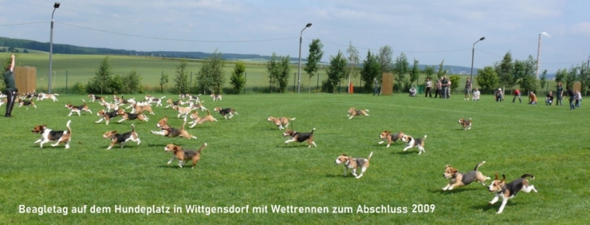 #nivo3m98Desc8 D Herzlich Willkommen bei der Landesgruppe Sachen im BCD