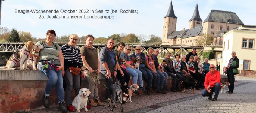 #nivo3m98Desc0 IMG_Rochlitz2023