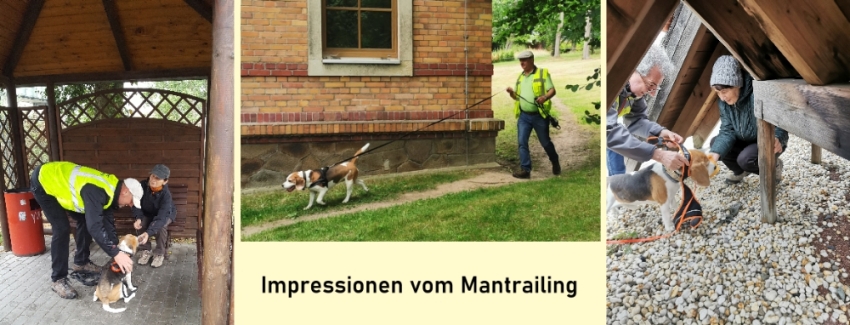 #nivo3m98Desc4 Mantrailing